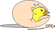 egg
