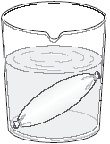 gutsac