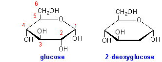 deoxigluc