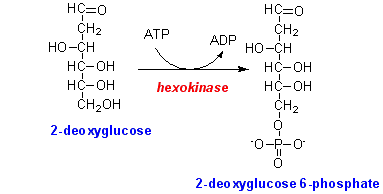 deoxyphosphate