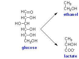 ethanol
