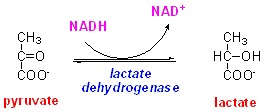 LDH