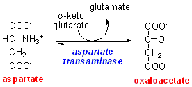 AST