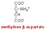 methylene asp