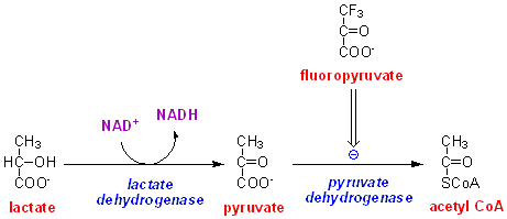 pyrdh