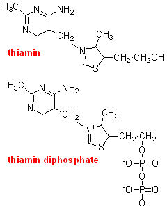 thiamin