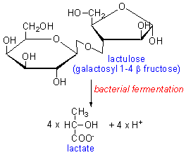 lactulose