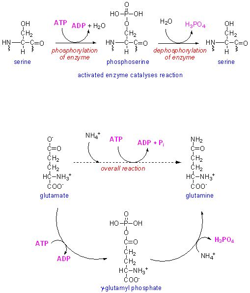 ATPenzymes