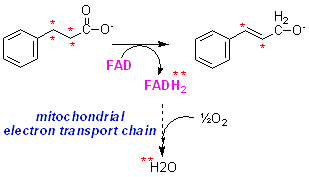 doublebond2