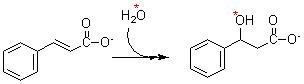 hydroxyl