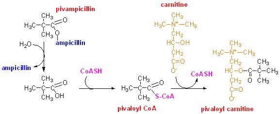 pivalic acid