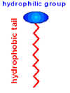 emulsify