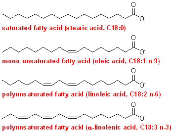 fatty acids