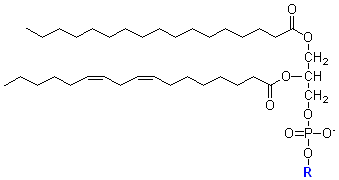 plip generic