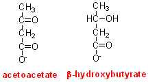 acacBHOb